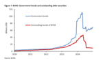 Argentina under the reforms of Javier Milei: Taking stock - 