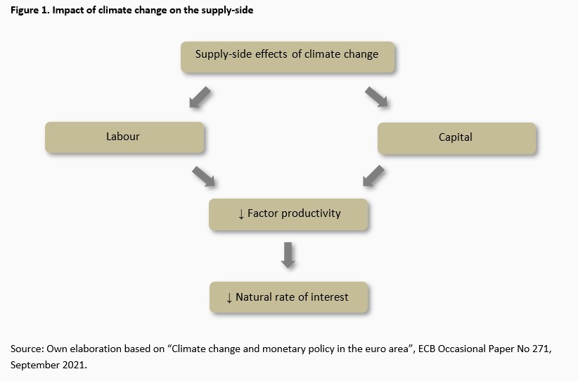 Seizing power through green monetary policy -
