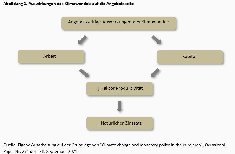 Machtergreifung durch grüne Geldpolitik -