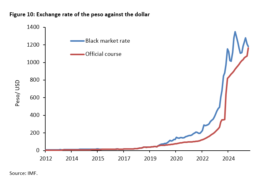 Argentina under the reforms of Javier Milei: Taking stock - 