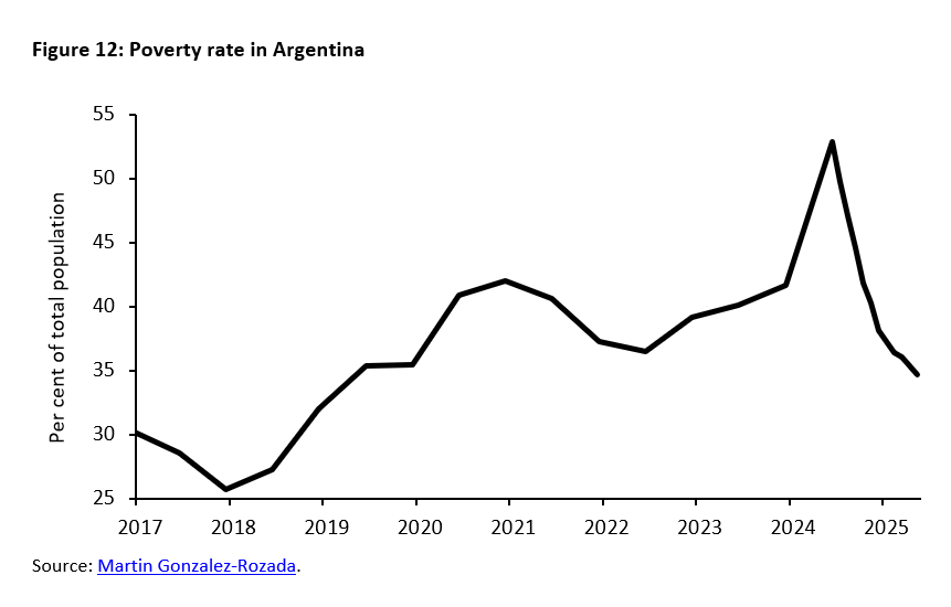 Argentina under the reforms of Javier Milei: Taking stock - 
