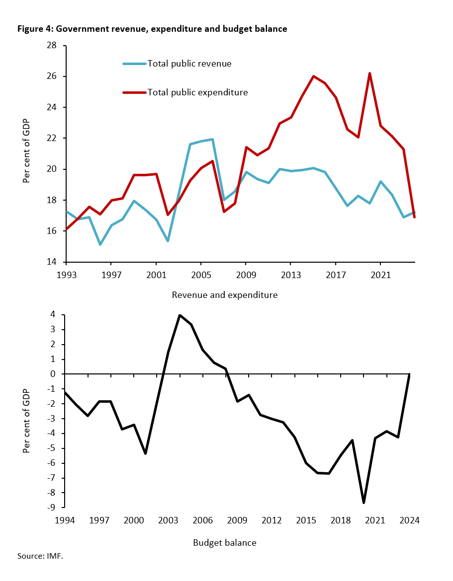Argentina under the reforms of Javier Milei: Taking stock - 