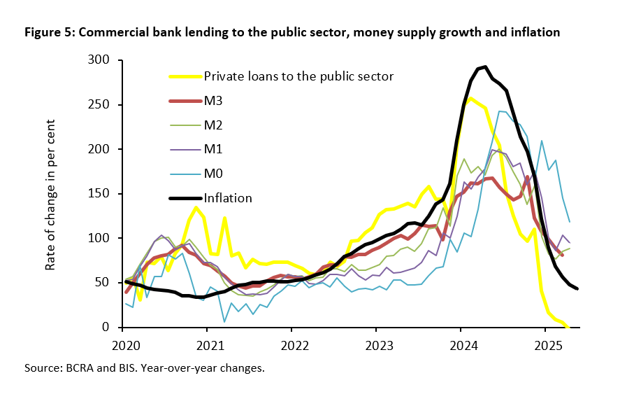 Argentina under the reforms of Javier Milei: Taking stock - 