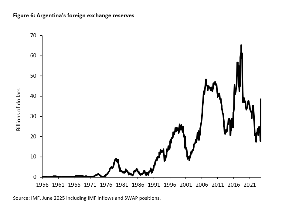 Argentina under the reforms of Javier Milei: Taking stock - 