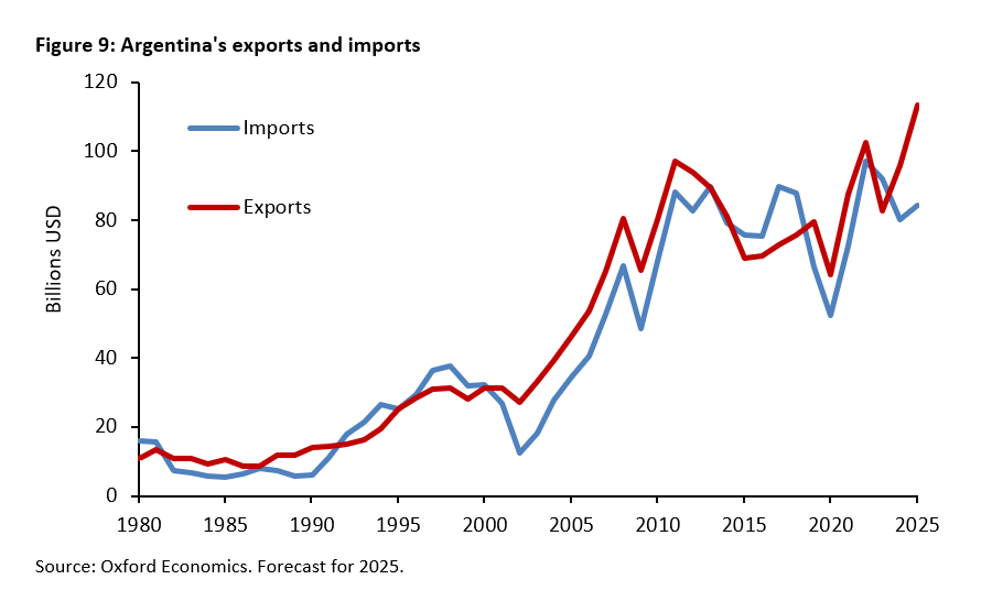 Argentina under the reforms of Javier Milei: Taking stock - 